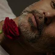FALLING ROSE RASELHITS