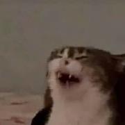 Imagine Dragons Enemy Bongo Cat Meow Version
