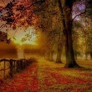 Фредерик Шопен НОКТЮРН до диез минор Frederic Chopin NOCTURNE C Sharp Minor Cis Moll