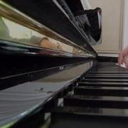 Smetana LIED Op2 N2