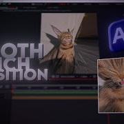 Easy Warp Pinch Tutorial On After Effects