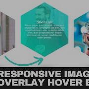 Responsive Hexagon Image Hover Overlay Effect CSS Responsive Image Hover Effect