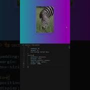 How To Make Css Hover Effect Css Hover Style Html Css Shorts Short Shortvideo