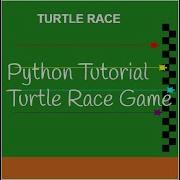 Python Tutorial Python Turtle Race Game Python For Beginners