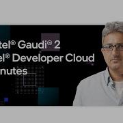 Get Intel Gaudi 2 On Intel Developer Cloud In 2 Minutes Intel Software