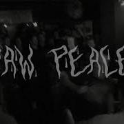 RAW PEACE COBRA JAUNE