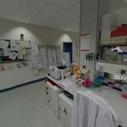 Virtual Lab Tour MSc Stem Cells Translational Neurology The University Of Edinburgh