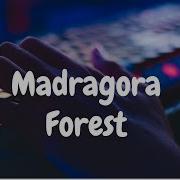 229 Madragora Forest Dynamic Programming Hackerrank Solution Python