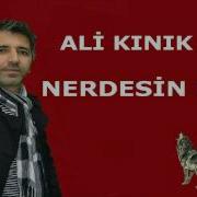 Ali Kınık Nerdesin REİS