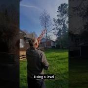 Trick To Figure Out The Height Of A Tree Diytips Treework Treeremoval Renotips Yardwork Diy