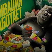 Дисциплина РЕШАЕТ