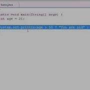 Java Programming Tutorial 20 Conditional Operators Flv