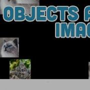 7 8 Objects And Images P5 Js Tutorial