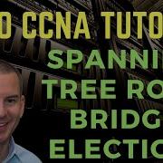 Выборы корневого моста протокола Spanning Tree на коммутаторах Cisco