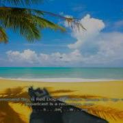 CoD4 Green Screen