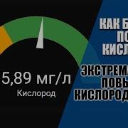 Быстро поднимаем содержание кислорода в воде Как быстро насытить воду кислородом