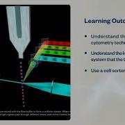 FACS Virtual Lab