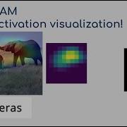 Grad CAM Class Activation Visualization Keras Code Examples