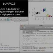 SURFACE Detecting Convergence With Stepwise AIC