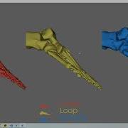 VTK Example SubdivisionDemo Cxx