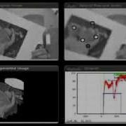 Real Time Interactive Image Segmentation Using User Indicated Real World Seeds