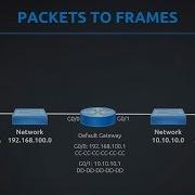 Routers Switches Packets And Frames
