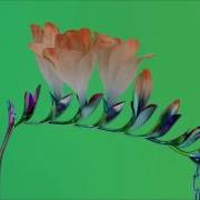 Flume Quirk Extended