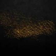Adobe After Effects CS5 Intro Test Particles