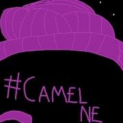 Camel Native RC Response NERC CamelNE NativeEstate Multi Cod