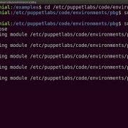 Puppet 5 From Beginner To Pro Using Puppet Forge Modules Packtpub Com