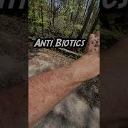 Snake Bite 24 Hour Update