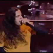 ZYGNEMA THEORY OF LIES AND NEGATION Mp4