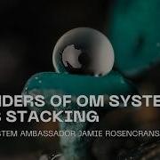 The 7 Wonders Of OM SYSTEM Focus Stacking