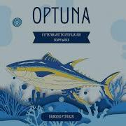 Optuna Hyperparameter Optimization Framework