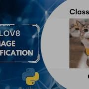 Train YOLOv8 Classification On Your Custom Dataset Step By Step Guide