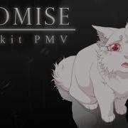 Обещание OC PMV