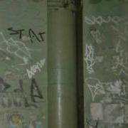 Earsnot 323 And Sace