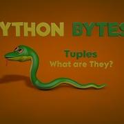 Cinema 4D Python Bytes Tuples What Are They