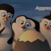 Assertiveness Examples
