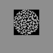 Microstructure Evolution Using Potts Model Grain Growth