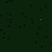Boids Simulation But Its Ants