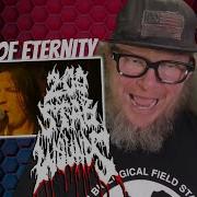 Reaction To Hands Of Eternity By 200 STAB WOUNDS