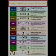 How Network Protocols Work The Basics Explained