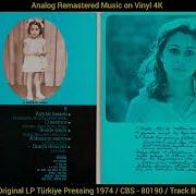 Nilüfer Dün Bugün Yarın Orkestrası Dünya Dönüyor Original LP Song Analog Remastered 1974 4K