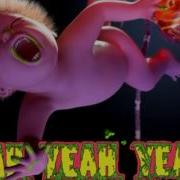 Yeah Yeah Yeahs Despair Acoustic Version