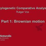 Phylogenetic Comparative Methods 1 The Problem