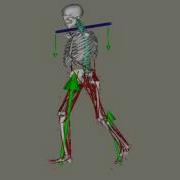 OpenSim Simulation Of A Single Leg Squat Using The HULK Exercise Device