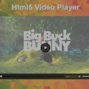 HTML5 Custom Video Player Tutorial