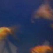 Monty Python Talking Fish