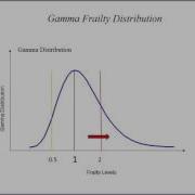 20 Gamma Gompertz Frailty Model By M Voigt